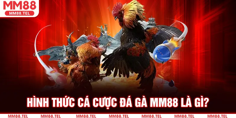 Hình Thức Cá Cược Đá Gà MM88 Là Gì?